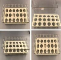 ORGANIZADOR PARA HUEVO CON TAPA